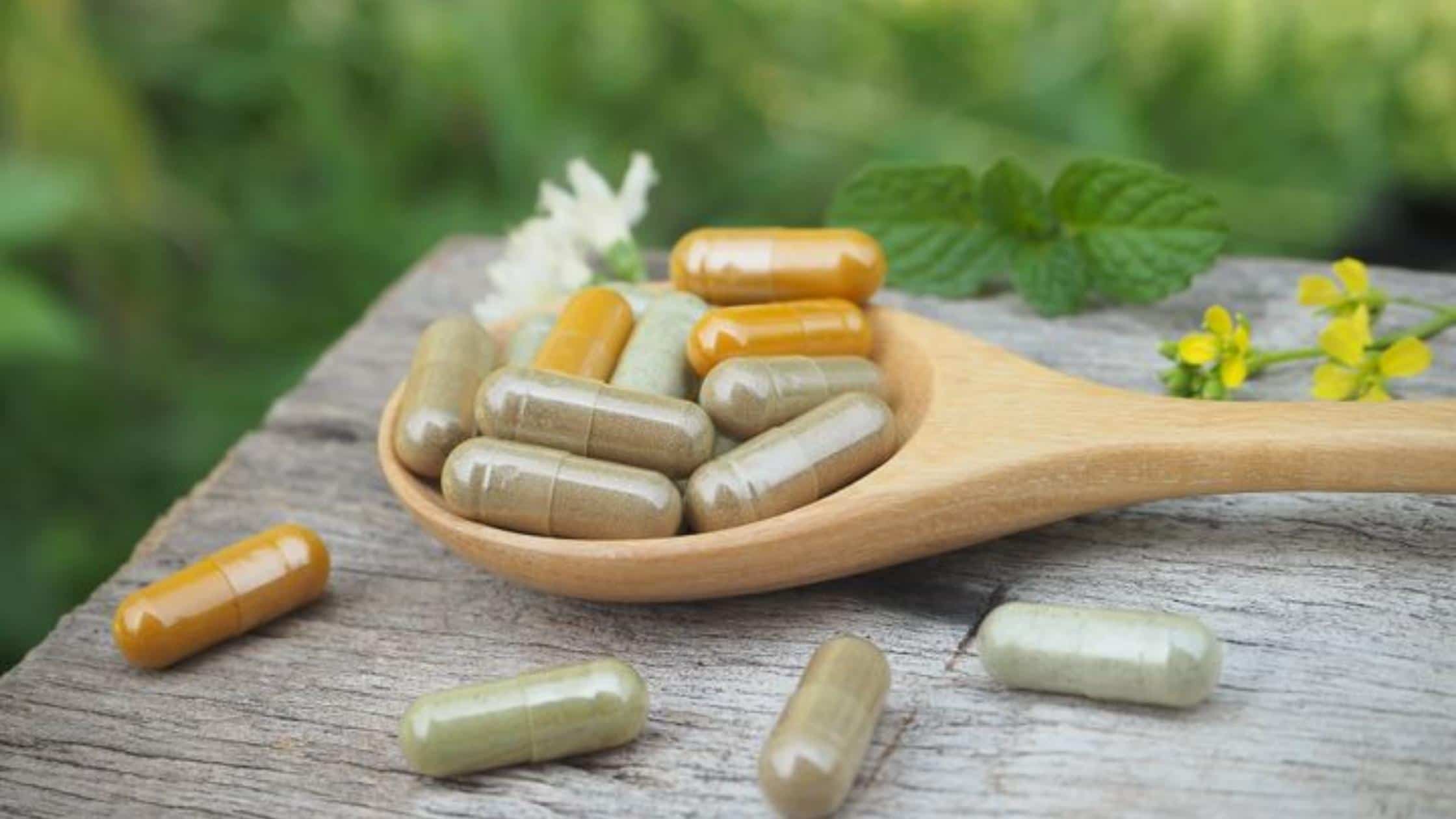 Lion’s Mane en poudre, gélules ou infusion : quelle forme choisir ?