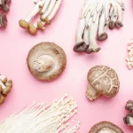 Lion’s Mane vs autres champignons médicinaux : lequel est fait pour vous ?